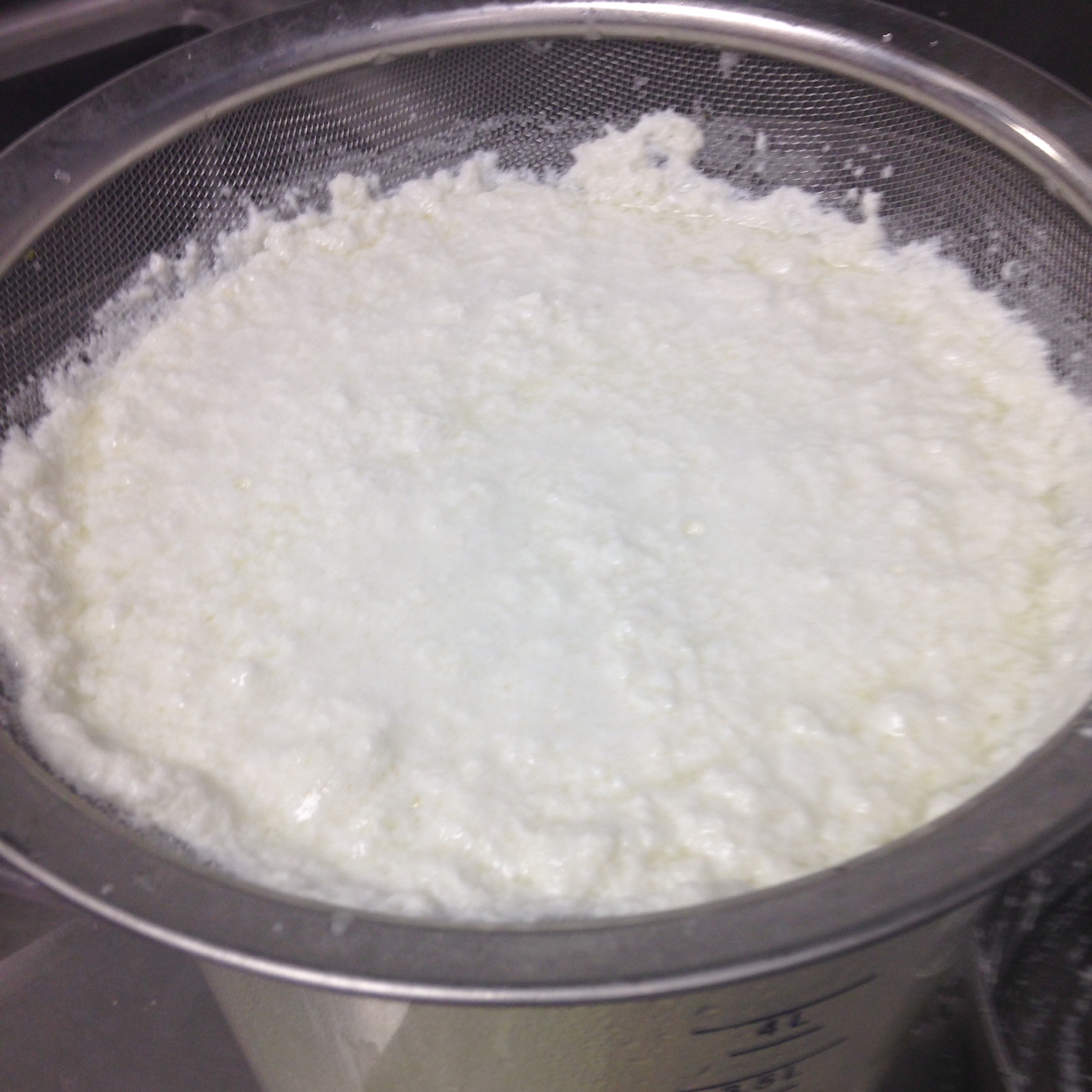 Fresh ricotta cheese