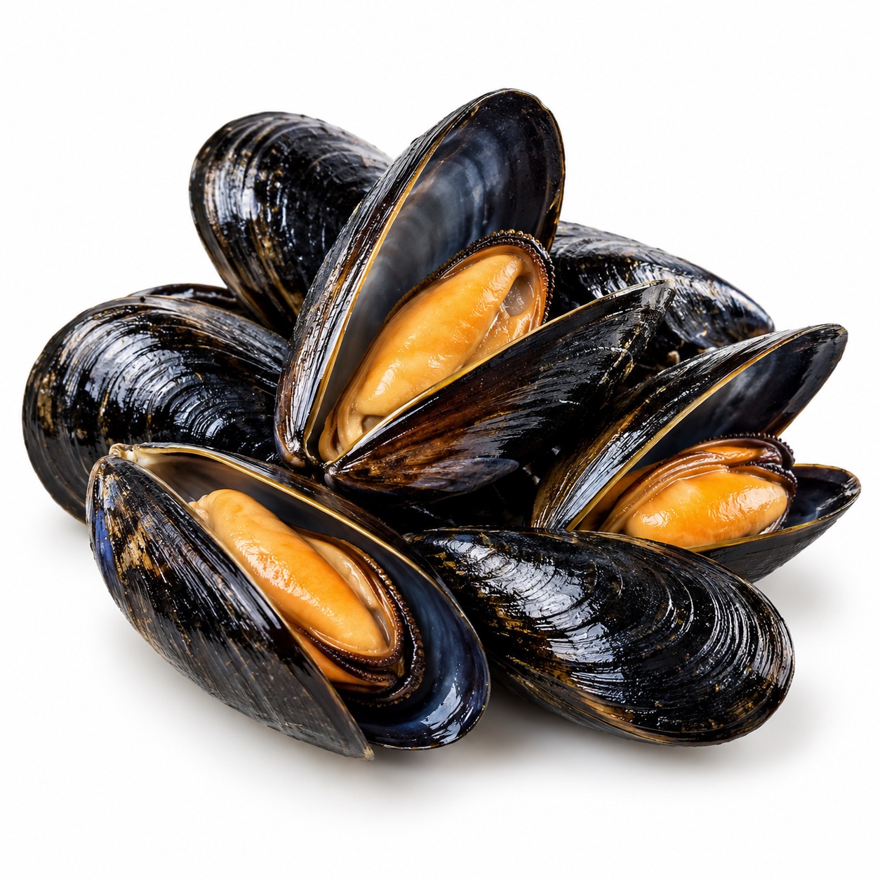 Prince Edward Island black mussels ingredient icon