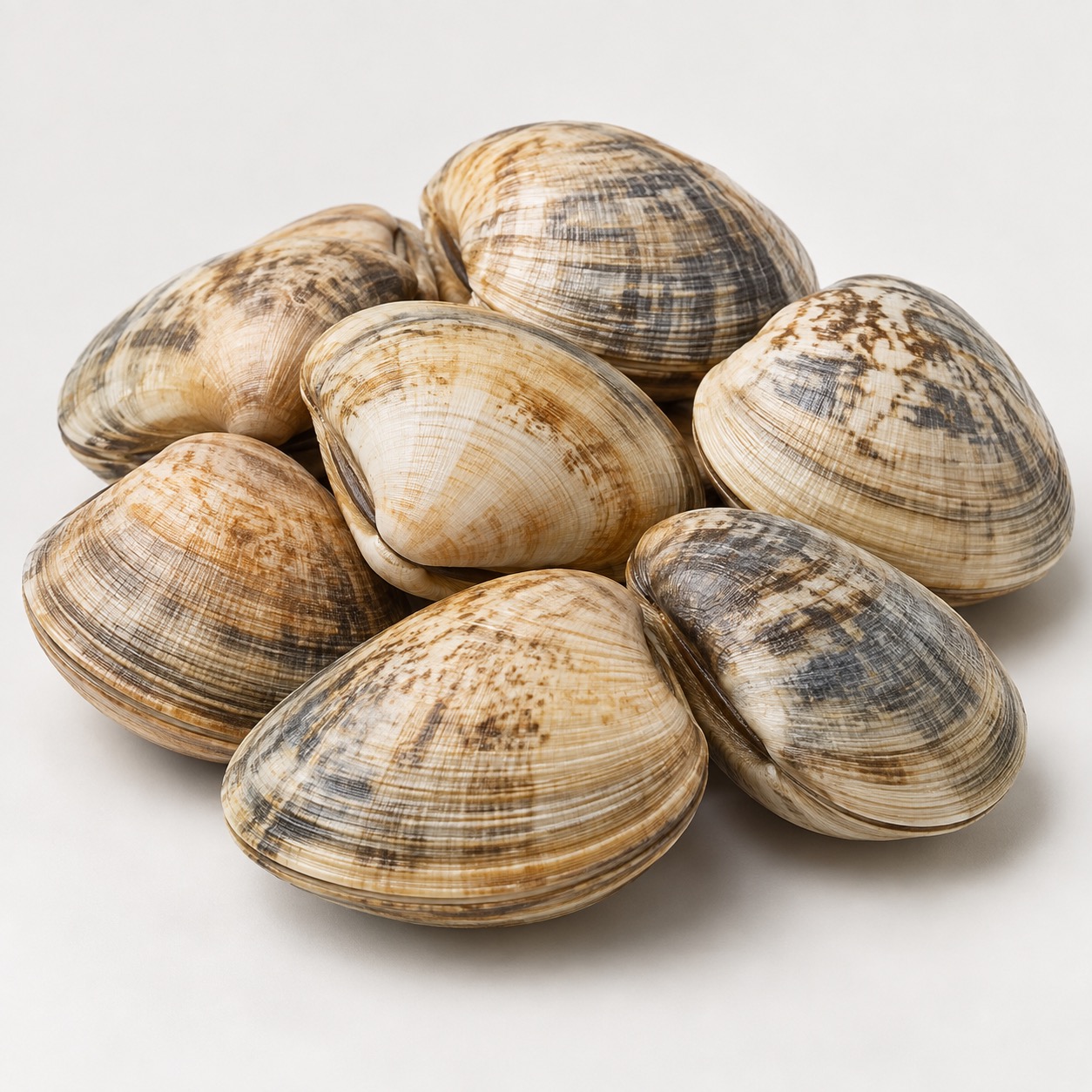 Manila clams ingredient icon