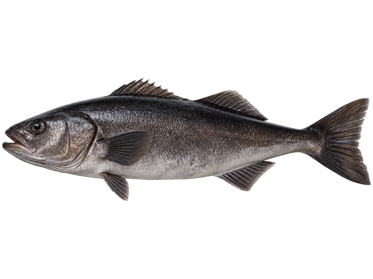 Black Cod Fillet ingredient icon