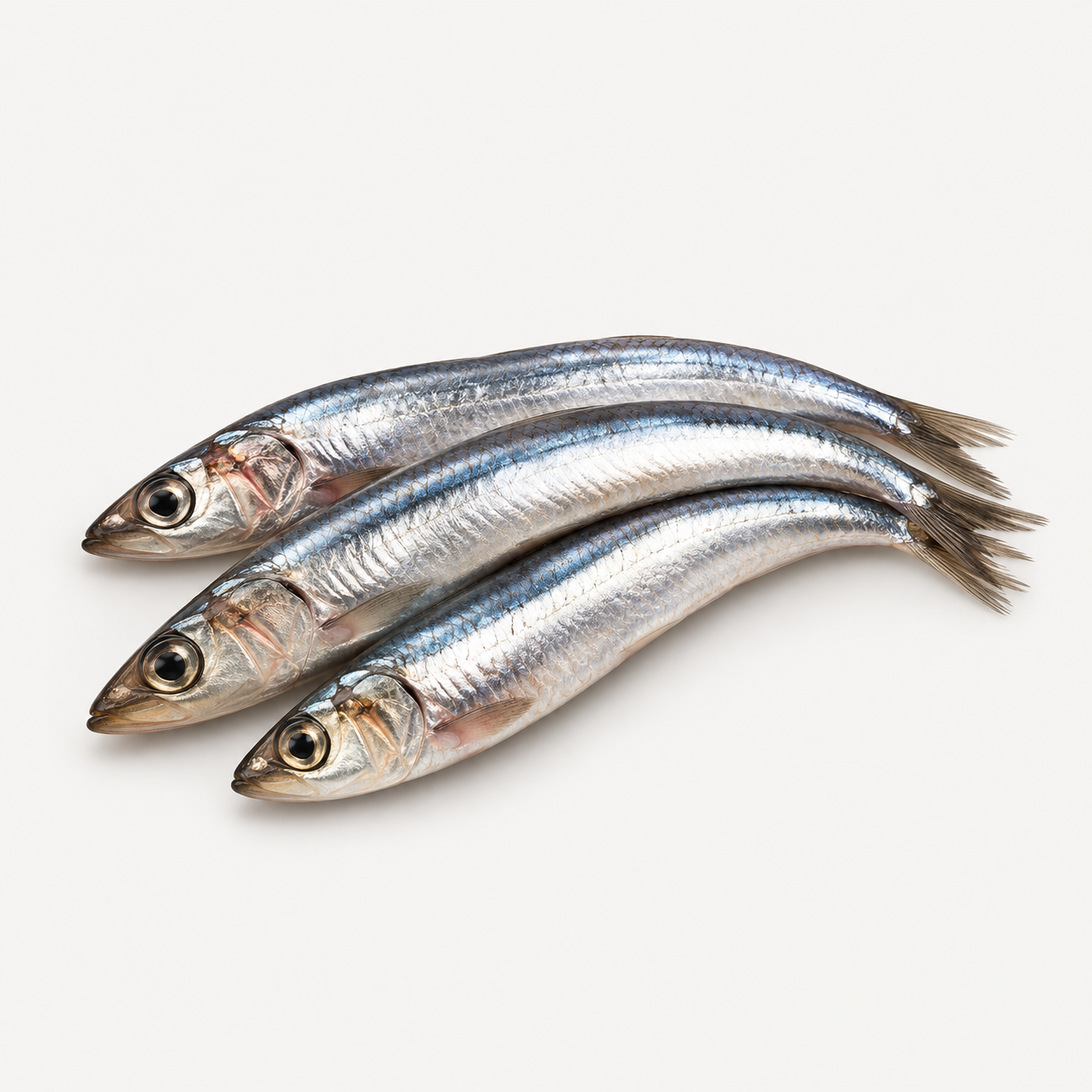 Preserved Anchovy Fillets ingredient icon