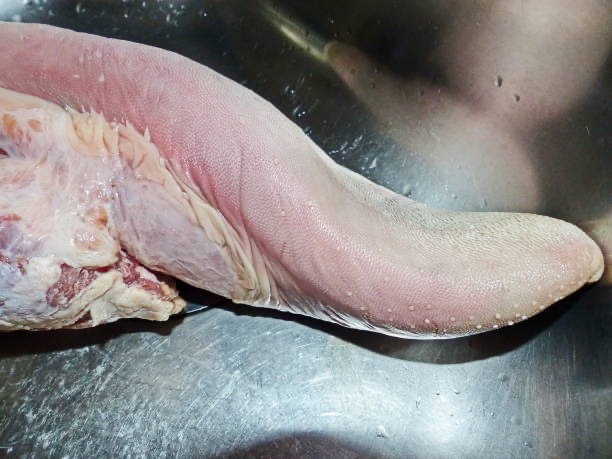 Beef Tongue ingredient icon