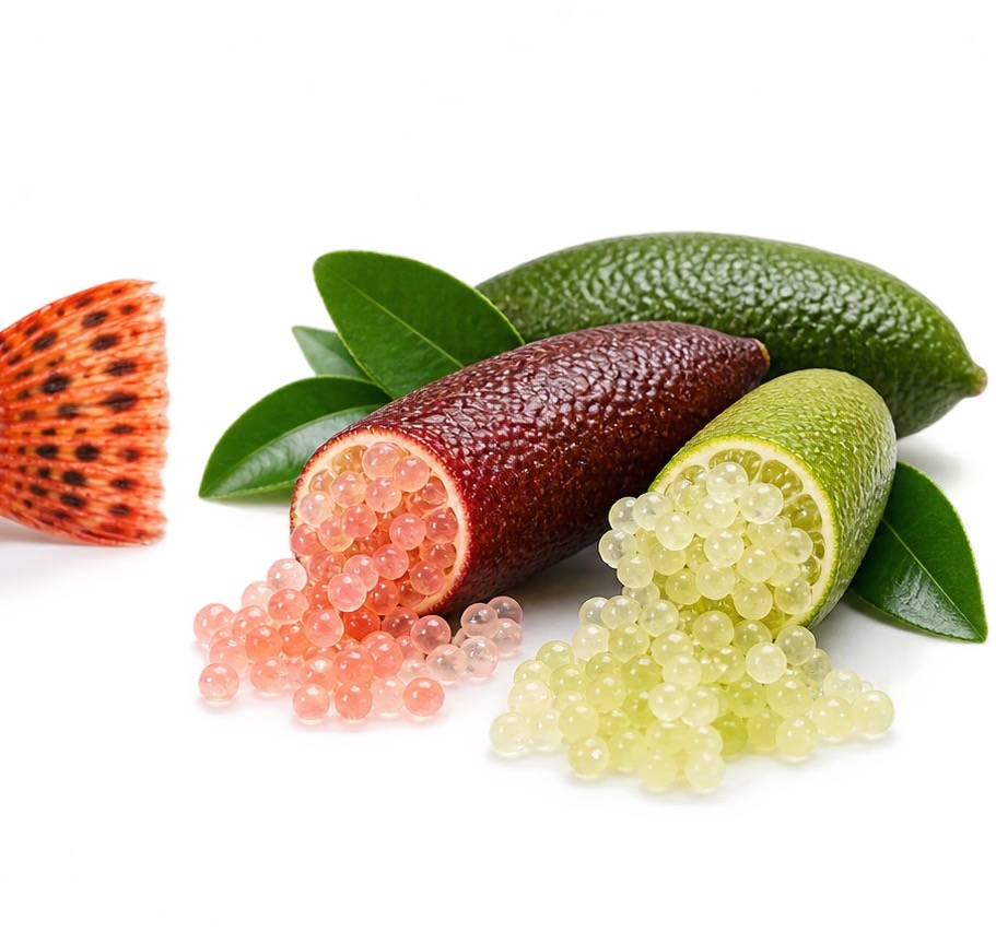 Finger Lime ingredient icon