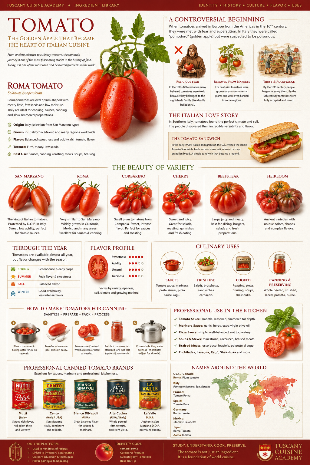 Tomato page hero illustration