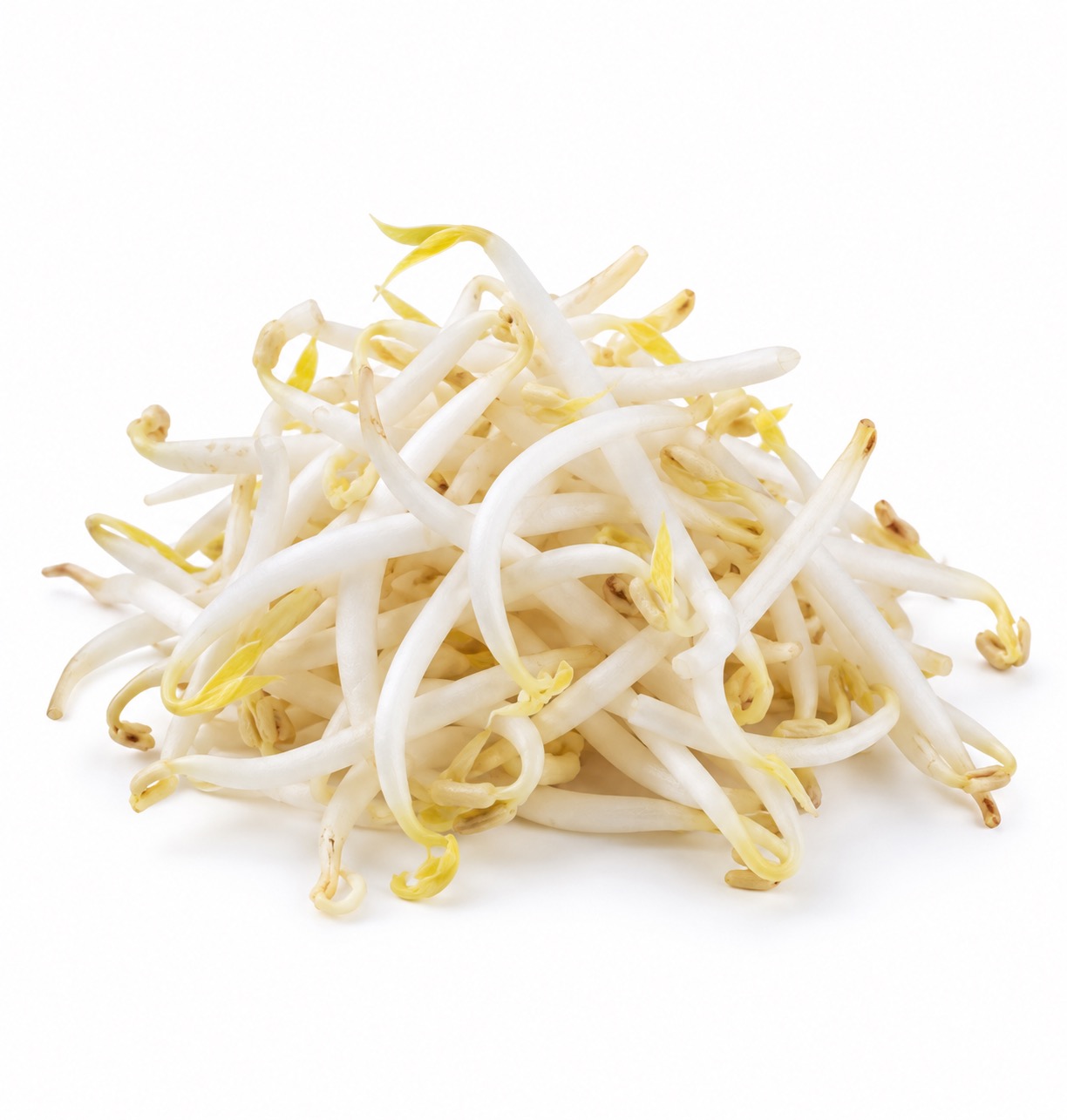 White Bean Sprouts ingredient icon