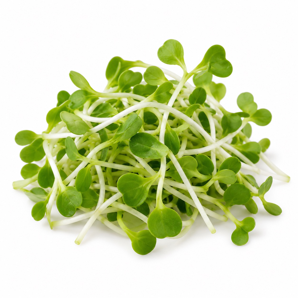 Green Sprouts ingredient icon