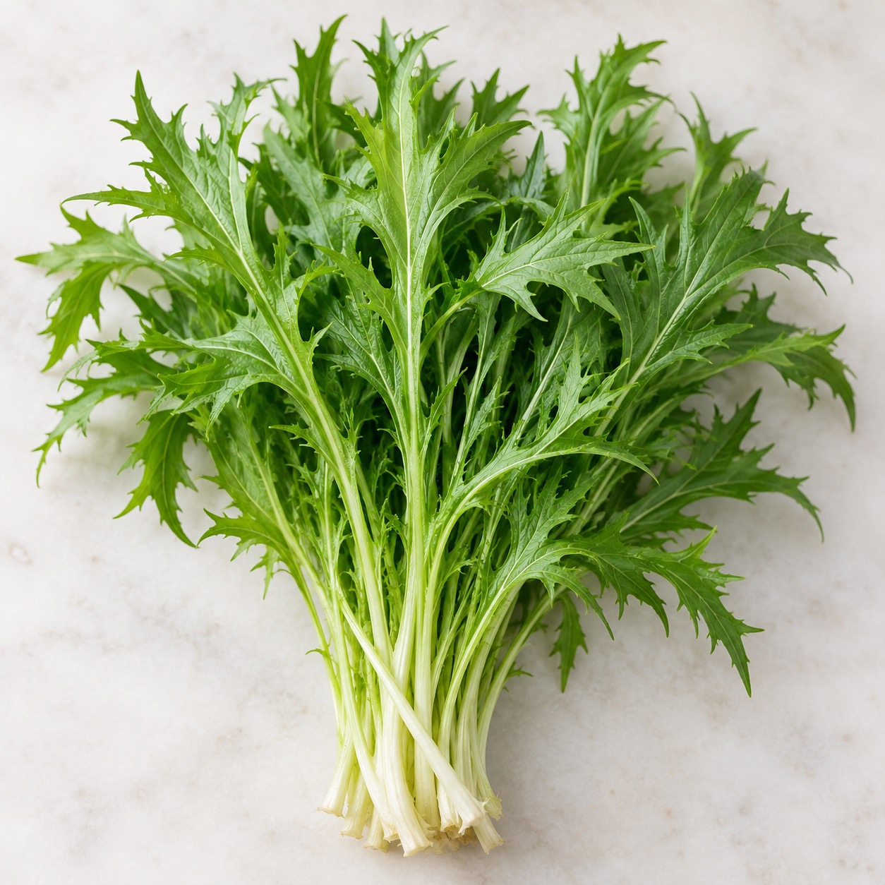 Mizuna / Japanese Mustard Greens ingredient icon