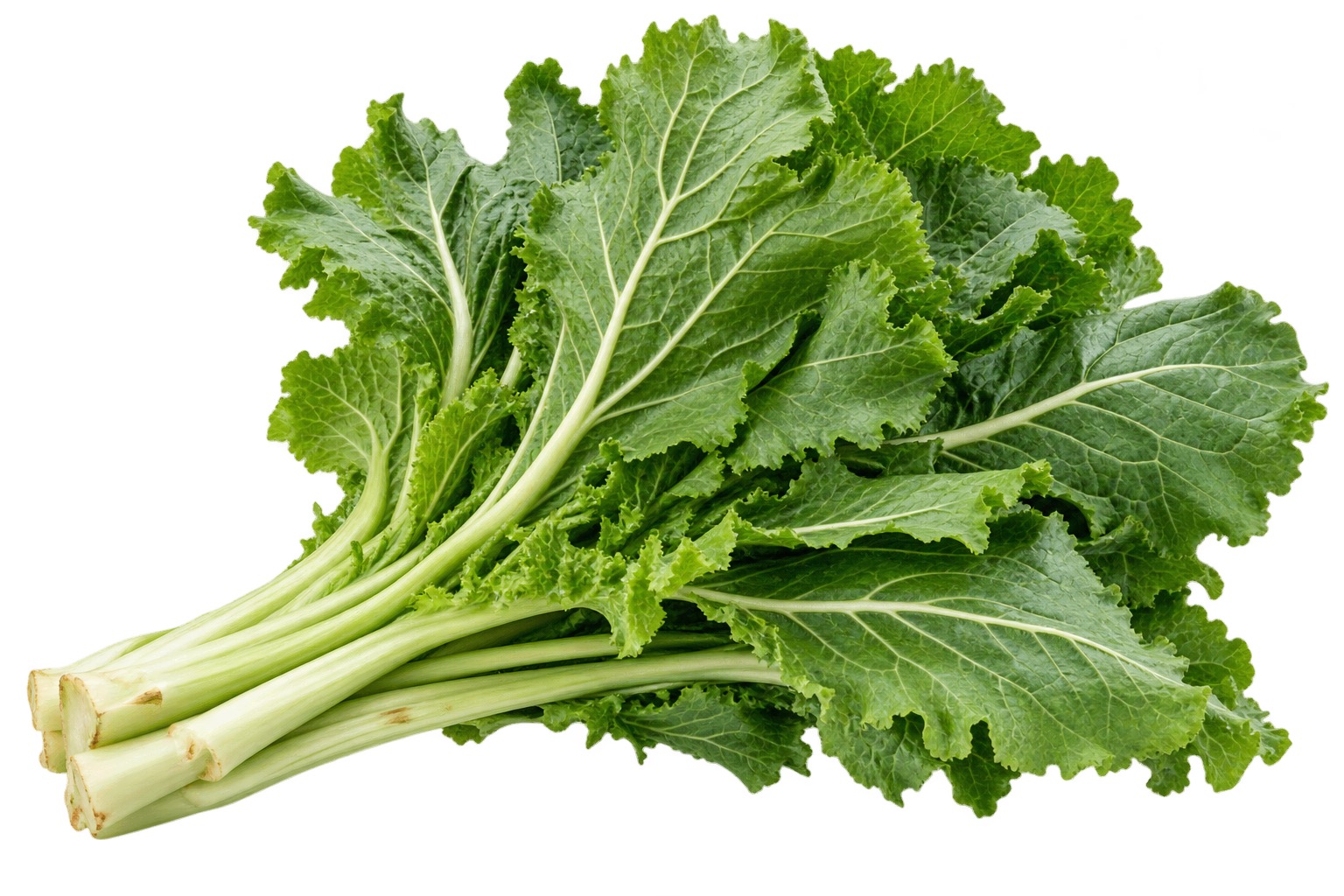 Mustard Greens ingredient icon