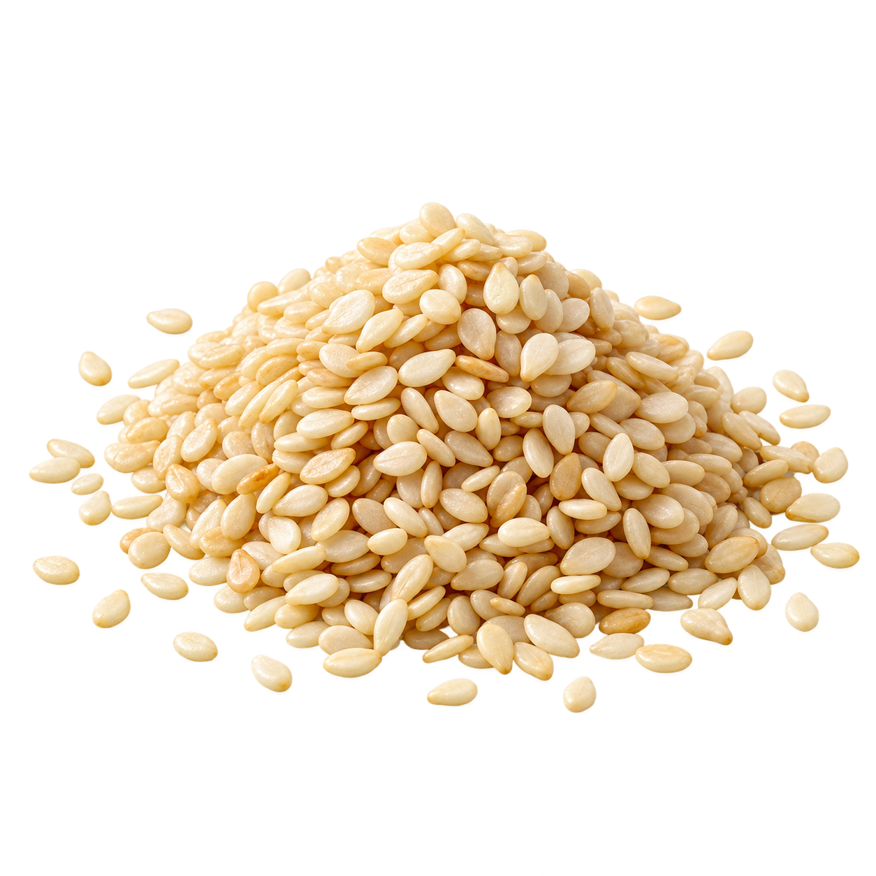 Toasted Sesame Seeds ingredient icon