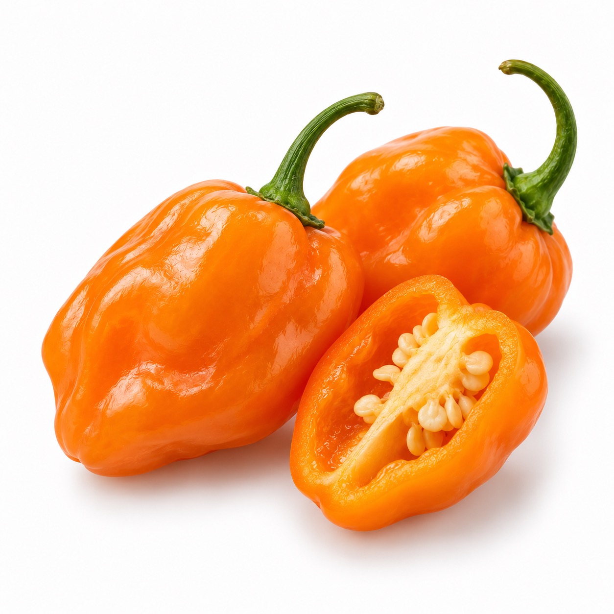 Fresh orange Habanero chile peppers