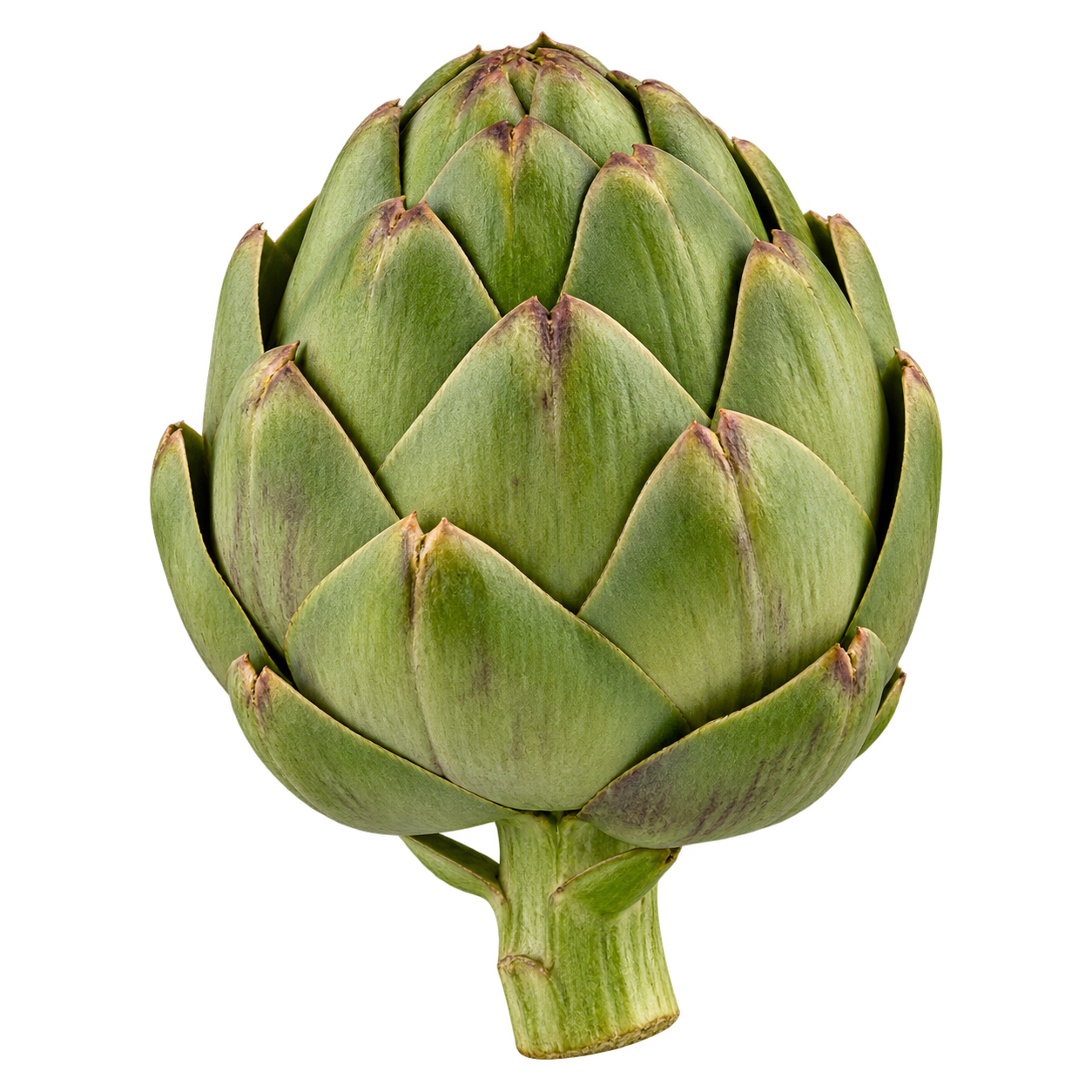 Fresh Globe Artichokes ingredient icon
