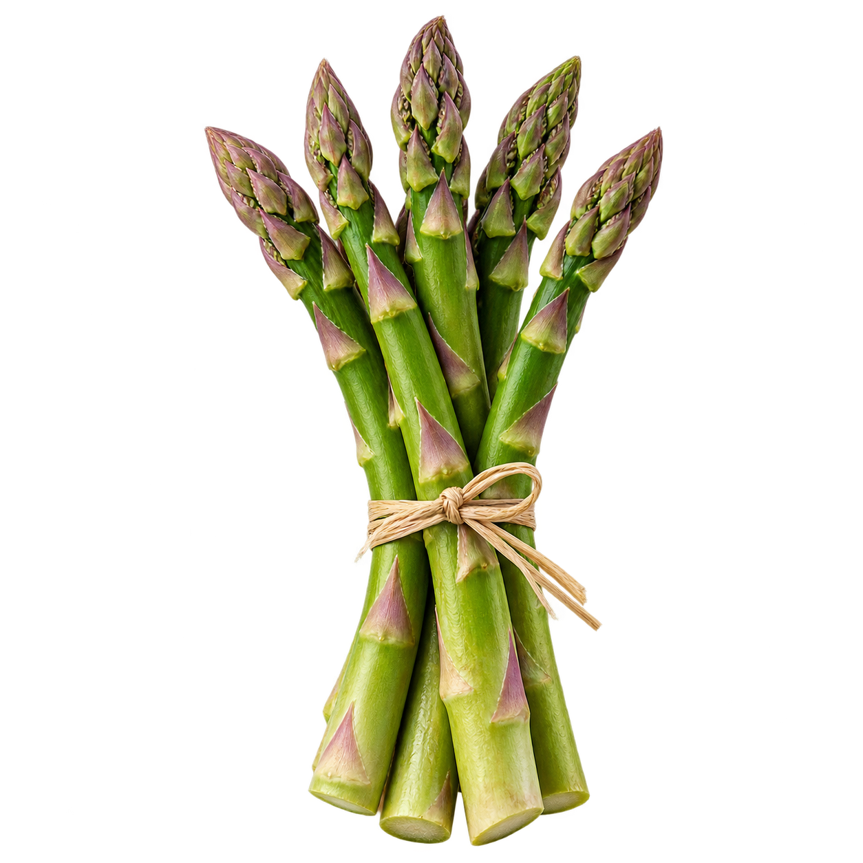 Asparagus icon