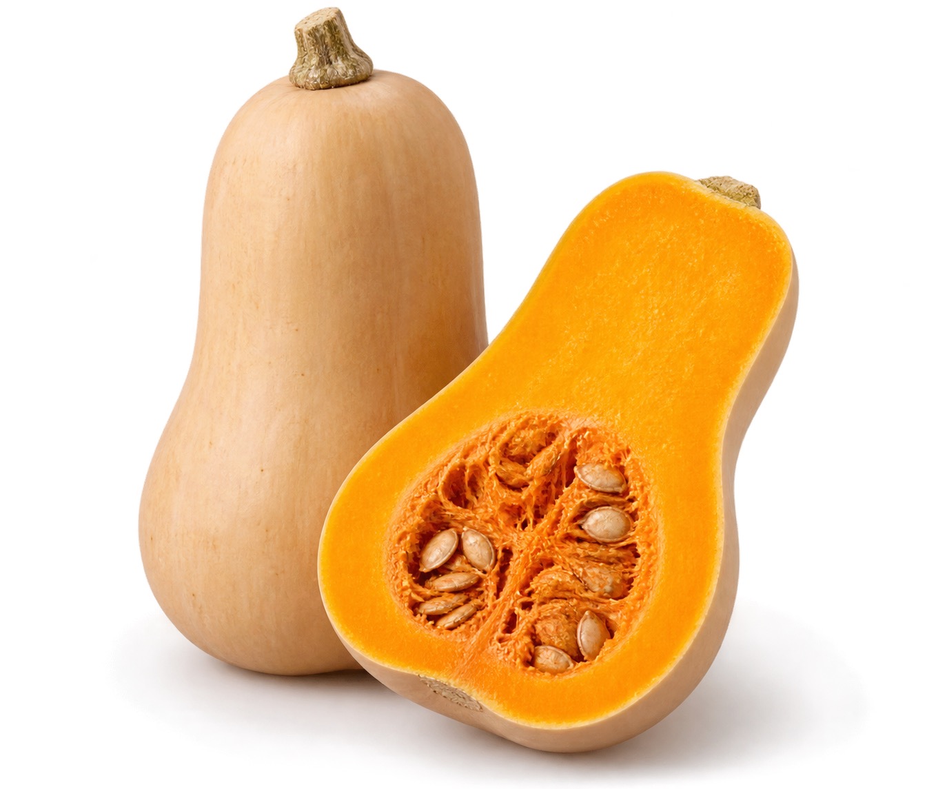 Butternut Squash ingredient icon