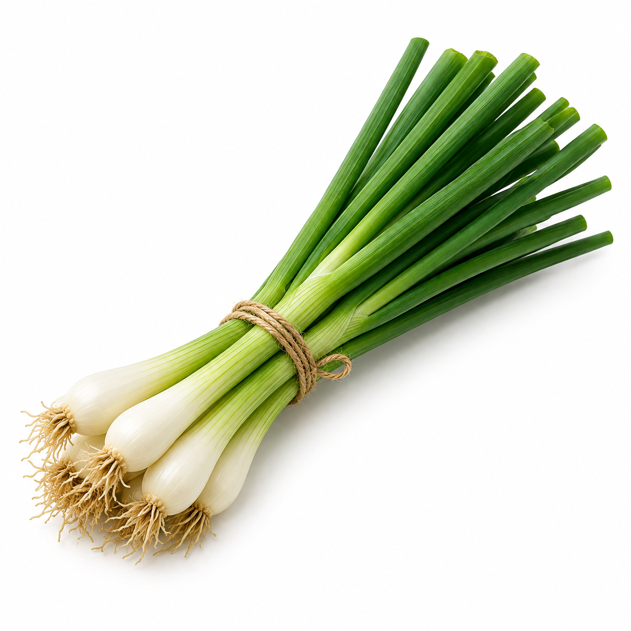 Green onions and scallions ingredient icon