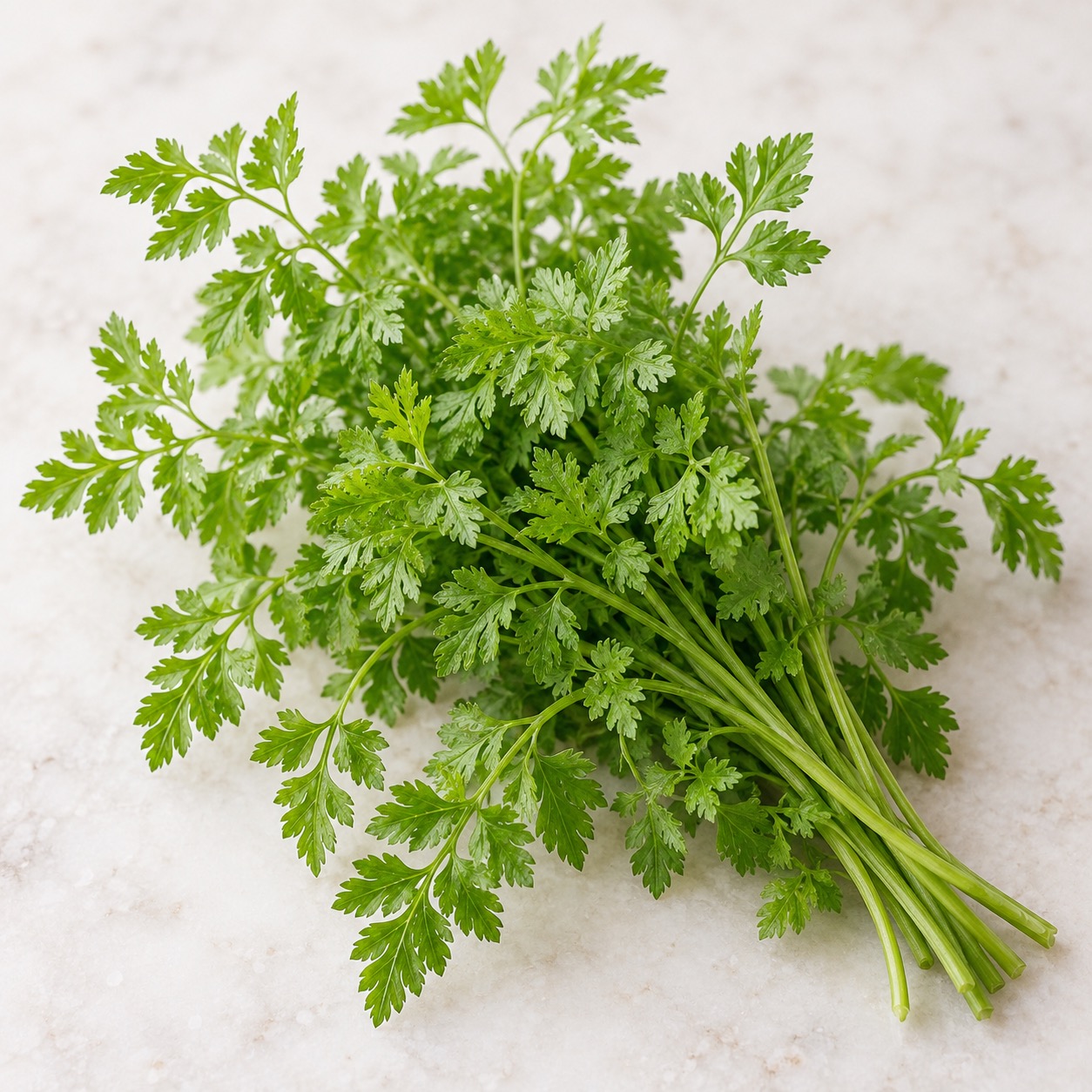 Fresh Chervil ingredient icon