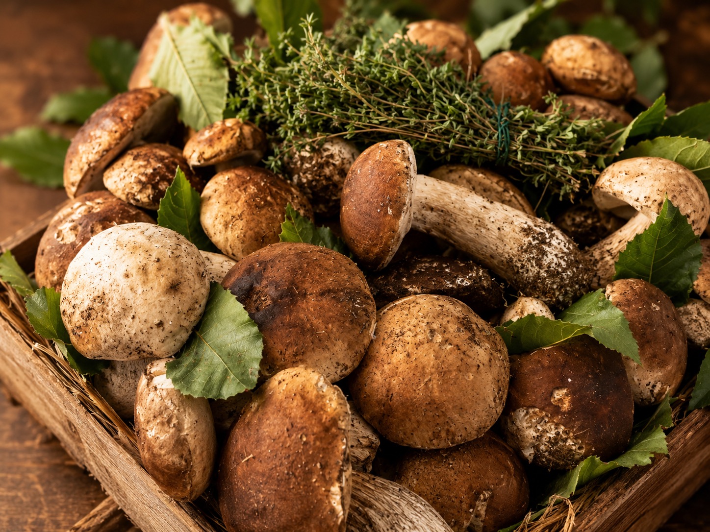 Porcini Mushrooms ingredient icon