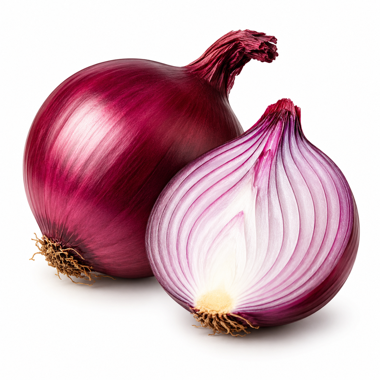 Whole and halved red onion ingredient icon