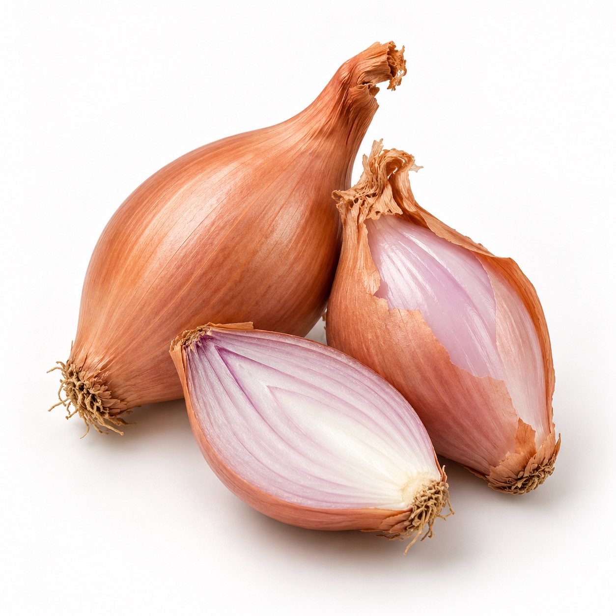 Shallot ingredient icon