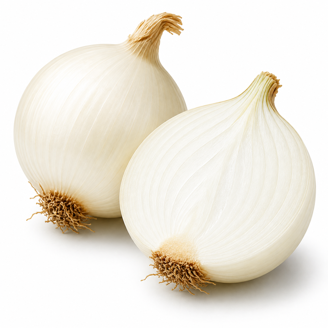 White onion ingredient icon