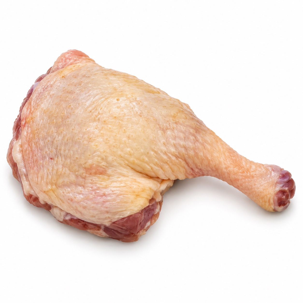 Duck leg culinary cut
