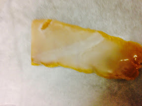 Bottarga with Citrus