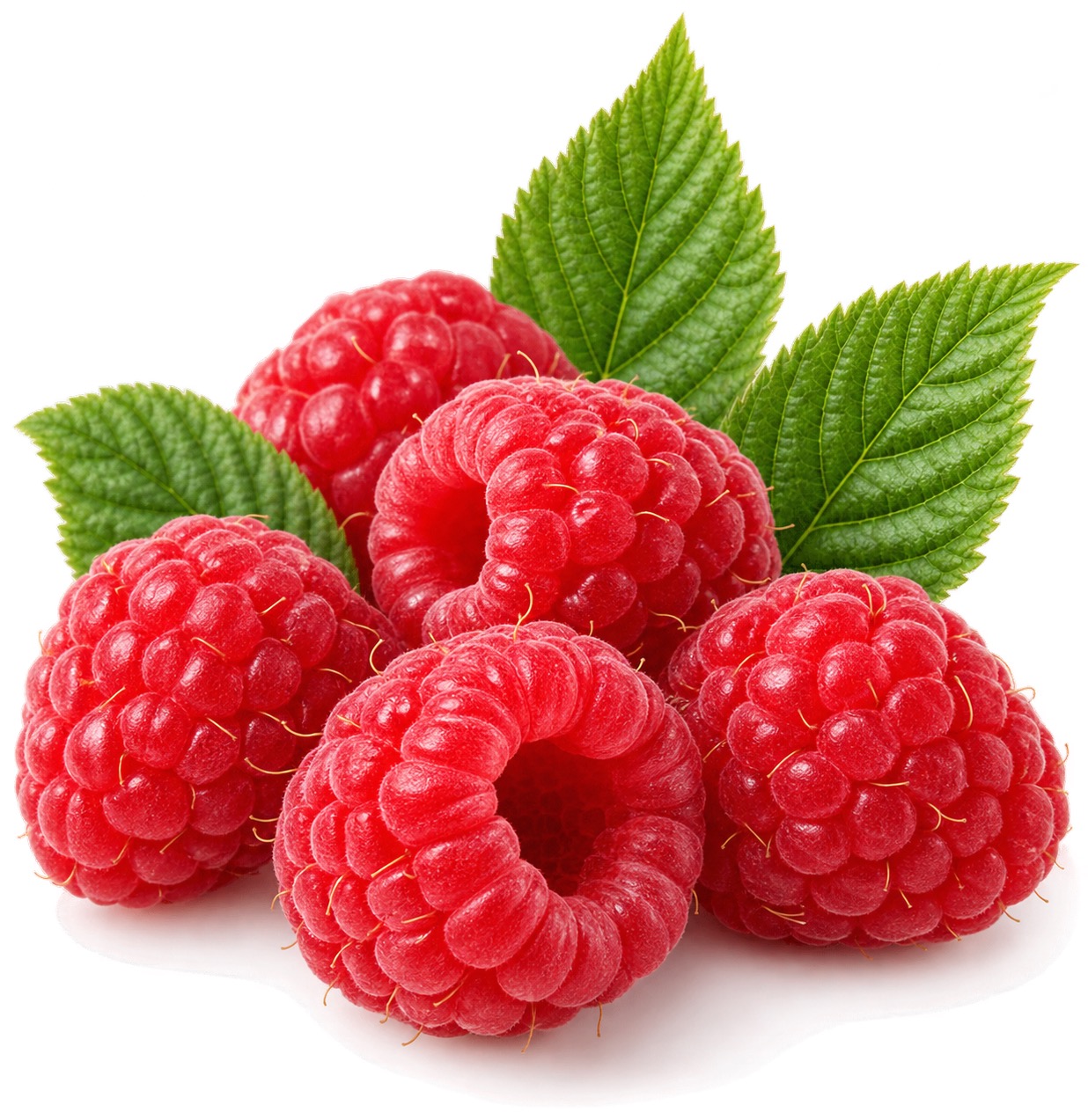 Fresh raspberry ingredient icon