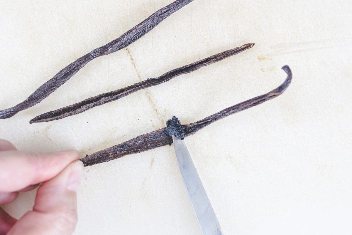 Vanilla seeds extraction