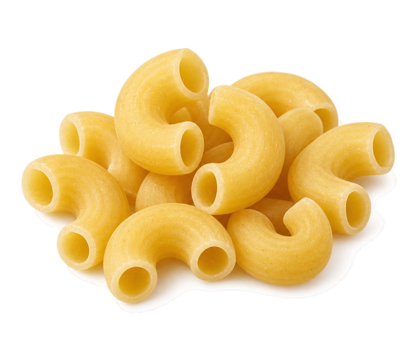 Elbow maccheroni dry pasta